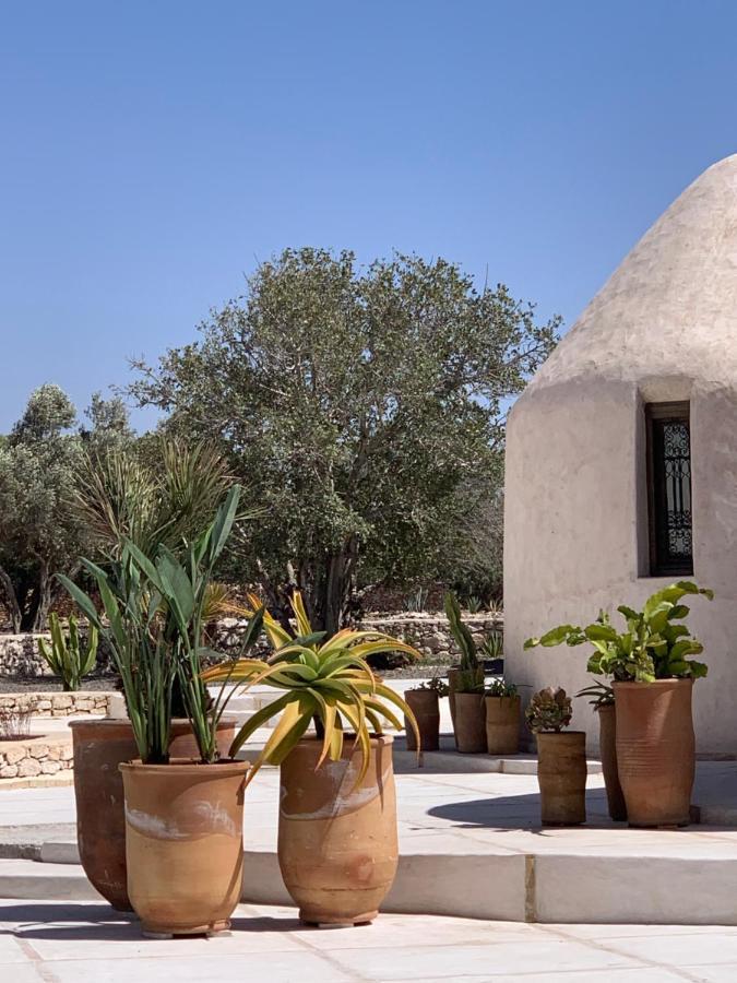 Les Jardins De Villa Maroc Essaouira Exterior foto